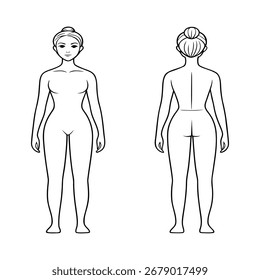Female anatomy model front and back view outline figure