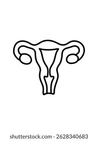 Anatomia feminina, ilustração vetorial simples