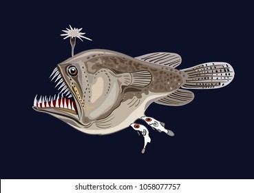 Female Anglerfish With Two Males