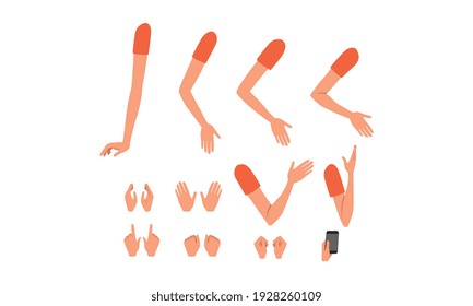 Female Arms and Palms in Various Poses Set, Girl Character Creation Details Cartoon Vector Illustration