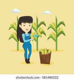 Female asian farmer holding a corn cob on the background of corn field. Farmer collecting corn. Happy smiling farmer standing near basket with corn. Vector flatdesign illustration. Square layout.