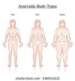 Female body constitution types - ayurvedic typology - vata, pitta, kapha. Isolated outline vector illustration of women - frontal view - different anatomy.
