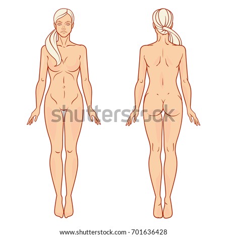 female body front back view template のベクター画像素材