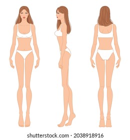 Female body, front, side, and back views. Female fashion figure template. Beautiful, slim woman wearing lingerie, isolated on white background. Fashion model in a bikini, vector illustration.
