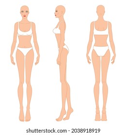 Female body, front, side, and back views. Female fashion figure template. Beautiful, slim woman wearing lingerie, isolated on white background. Fashion model in a bikini, vector illustration.