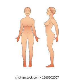 Female body front and side view template. Isolated vector illustration for your design