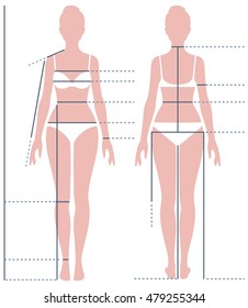 Female body in full length for measuring the size of the figure Stock vector illustration