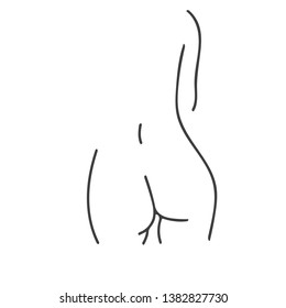 Female body shapes in vector