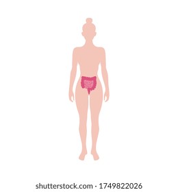 Female body silhouette with bowel, colon and small intestine icon infographic vector illustration isolated on white background. Internal organs anatomical image.