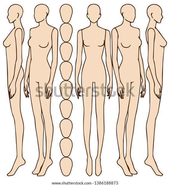 Female Body Silhouettefrontfemale Figure Vector Sketch Stock