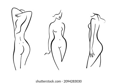 Female body sketch, line drawing of elegant figure