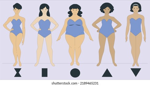 anatomía del cuerpo femenino, forma de figura frontal de la mujer, silueta vectorial. El cuerpo femenino tira anatomía. forma de figura de mujer. Tipos de cuerpo femenino. Formas femeninas. Apple, pera, lentes de arena. vector de ilustración