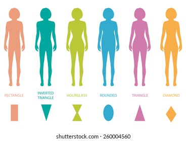 female body types anatomy,woman front figure shape, vector silhouette