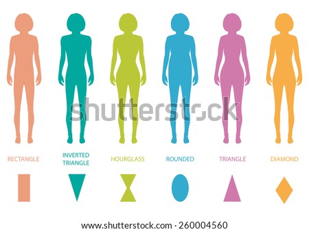 Download Female Body Types Anatomywoman Front Figure Stock Vector ...