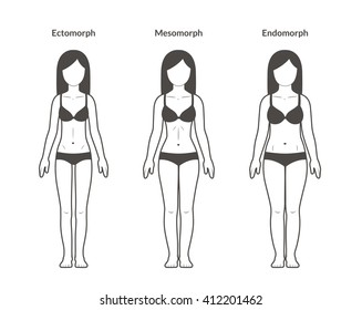 Female body types: Ectomorph, Mesomorph and Endomorph. Skinny, fit and overweight body types. Fitness and health illustration.