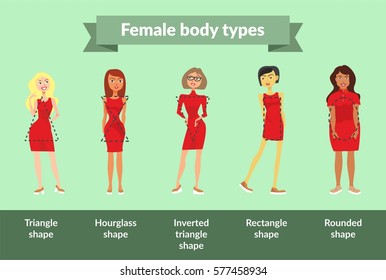 Female body types. Girls with different body types standing in red dress on green background. Under them there is a description