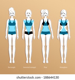 Female body types. Vector illustration.