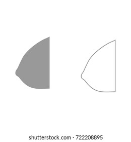 Female breast icon .