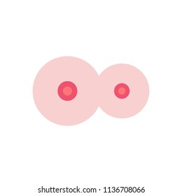 female breast vector icon