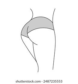 Female buttocks line art illustration. Woman body butt, ass silhouette. Simple figure in underwear.