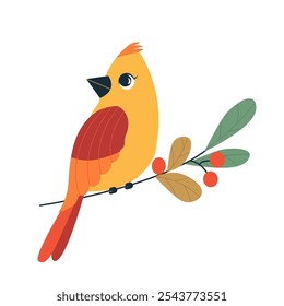 Female cardinal bird flat vector illustration isolated on white background. Cartoon comic northern female cardinal bird sits on a branch with red berries. Bird Watching, winter birds оf backyard. 