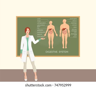 Female caucasian doctor teaching about digestive system, vector