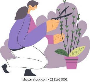 Female character caring for garden and foliage, woman with scissors cutting branches and twigs of bushy plant in pot. Florist shop or gardener tending orchard. Hobby of girl or leisure, vector