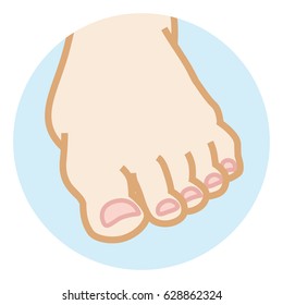 Female clean toe -Simple Body part Illustration