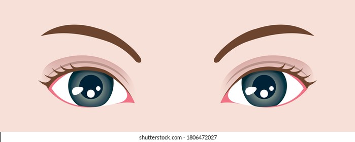 Female close up eyes vector illustration