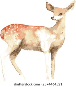 female deer doe standing looking over shoulder