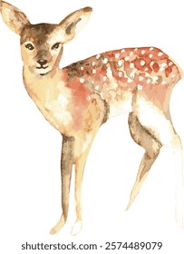 female deer doe young deer watercolour