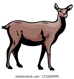 female deer standing Cartoon Animal Vector Illustration Template Icon Collection