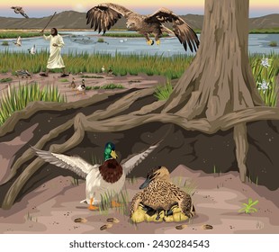 Female duck protects young under her wings, while in the distance, fowler scares birds by beating a stick so they fly out and land in his snare on the water.  Christian allegory image for Psalm 91:4.