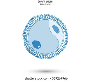 female egg icon