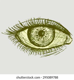 Female eye close-up. Vector image