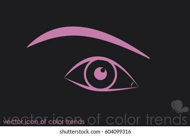 female eye, eyebrow icon vector.