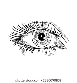 Female eye. Vector sketch. Isolated on white. Hand-drawn style.