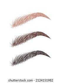 Female eyebrows in various colors. Blonde, brown and dark hair. Arch brows shapes. Linear vector Illustration in trendy minimalist style. Brow bar logo.