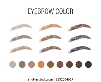 Female Eyebrows In Various Colors. Blonde, Red And Dark Hair. Arch Brows Shapes. Linear Vector Illustration In Trendy Minimalist Style. Brow Bar Logo.