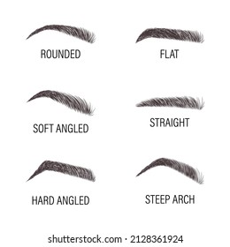 Female Eyebrows Various Forms Types Arch Stock Vector (Royalty Free ...