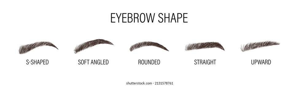 Female eyebrows. Various forms and types. Arch brows shapes. Linear vector Illustration in trendy minimalist style. Brow bar logo.