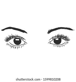 female eyes with eyebrows, vector illustration 