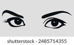Female eyes with eyebrows. Vector on gray background