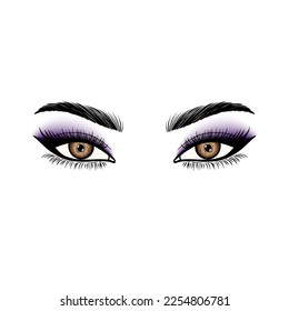  Female eyes with eyeshadow in a linear style on  white background.