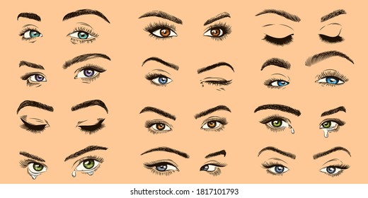 Female eyes. Open, closed and crying colored women eyes with luxurious lashes, perfect eyelash, girl makeup isolated vector collection. Winking lady. Models for advertisement design
