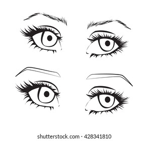 Female eyes outline. Hand drawn eyes with big lashes
