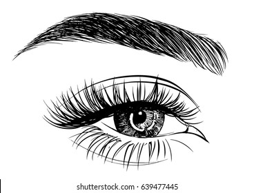 Female Eyes Vector