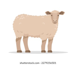 Female farm animal sheep icon. Wool production. Sheep isolated on white background. Vector flat or cartoon illustration.