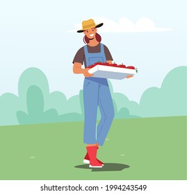 Female Farmer Carry Apples Harvest in Wood Box in Orchard. Gardener Character Harvesting Ripe Fruits in Garden, Ecological Eco Farm Production, Agriculture Work. Cartoon People Vector Illustration