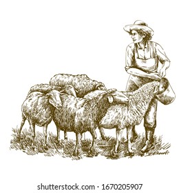 Female Farmer Feeds The Sheep. Sketch On A White Background. Animal Husbandry